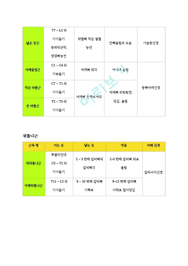 [물리치료 족보] 교재 근육 기시, 정지, 작용, 신경2 (2).hwp